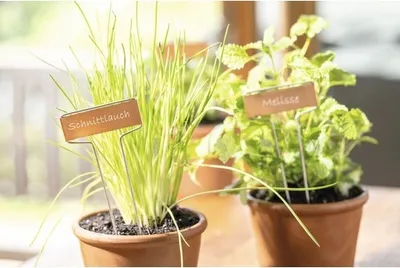 Produktbild von Pflanzenschilder FloraSelf Kupfer 10 Stk.
