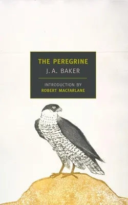 Zdjęcie produktu dla The Peregrine