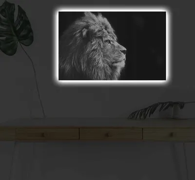 Produktbild von Opviq, 4570DHDACT- SHN4371, Bunt, Leinwandbilder, 45 x 70 cm, 100% Wildleder -Leinwand