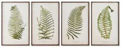 Obrázok produktu pre Picture Home ESPRIT Fern Cottage 45 x 2,5 x 70 cm (4 ks)