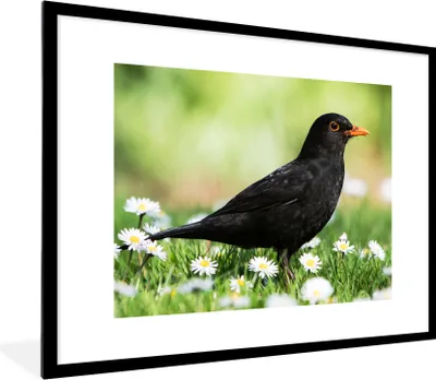 Produktbild von MuchoWow® Gerahmtes Poster Vogel - Amsel - Blumen 80x60 cm - Poster mit Schwarzem Bilderrahmen Wandposter Rahmen Foto Bilder - Schlafzimmer-Dekorationen - Fotoposter