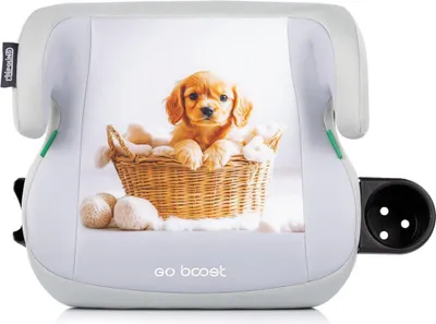 Productafbeelding van Chipolino kinderzitverhoger Go Boost i-Size (125-150 cm), met bekerhouder, afwasbaar, lichtgrijs