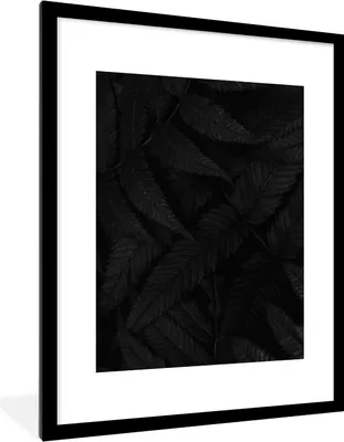 Produktbild von MuchoWow® Gerahmtes Poster Blätter - Schwarz - Weiß - Pflanzen - Botanisch 60x80 cm - Poster mit Schwarzem Bilderrahmen Wandposter Rahmen Foto Bilder - Wohnzimmer - Dekorationen - Prämie