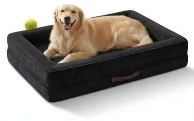 Immagine prodotto di Cuccia ortopedica per cani, taglia XL, lavabile, colore nero, dimensioni 117x76x19 cm