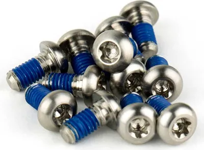 Produktbild von Sram Rotor Bolt Titanium T25 12 Units Silver One Size