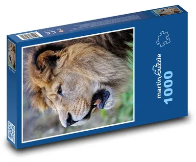 Zdjęcie produktu dla Puzzle 1000 Barbarzyński lew - martinpuzzle