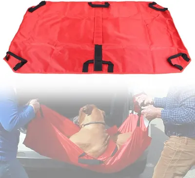 Productafbeelding van Draagbare Huisdieren Hulp - Huisdieren Transport - Hulp bij Mobiliteit - 6 Handgrepen - 120 x 74 cm - Rood