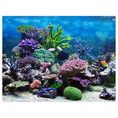 Obrázok produktu pre PVC samolepiaca fólia Podvodné koraly, pozadie do akvária 122 x 46 cm, dekorácia