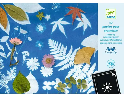 Image de Papier cyanotype, Djeco