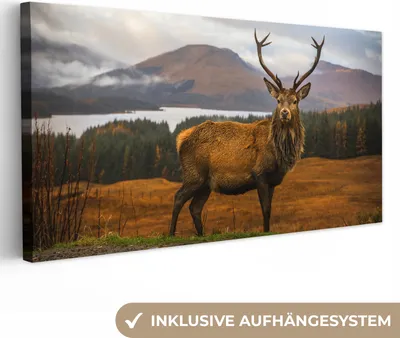 Produktbild von MuchoWow® - Leinwandbilder - Hirsche - Berge - Wasser - Landschaft - Tiere - Bäume, Wandbild, Wanddeko Bilder Wohnzimmer, 80x40 cm