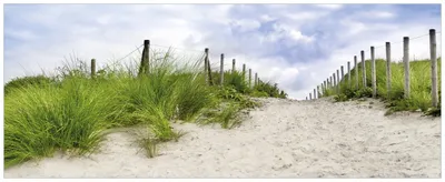 Produktbild von Wallario Wandbild aus Acryl, 125 x 50 cm, freischwebende Optik - Auf dem Weg zum Strand durch Dünen