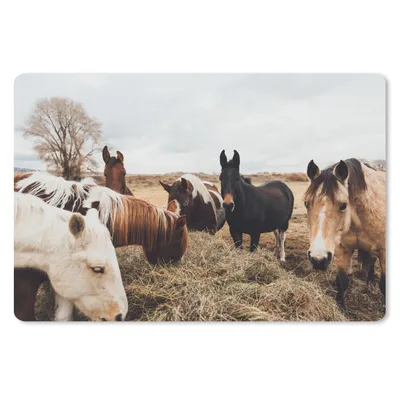 Produktbild von MuchoWow® Schreibtischunterlage Tiere - Pferd 60x40 cm - XXL Mauspad - Großes Mauspad