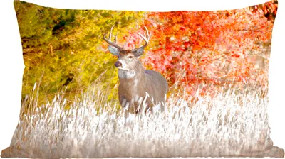 Produktbild von MuchoWow® Zierkissen Sofakissen Wohnzimmer Dekokissen 50x30 cm Hirsche - Geweihe - Wald - Wohnzimmerdekoration - Polster mit Photo