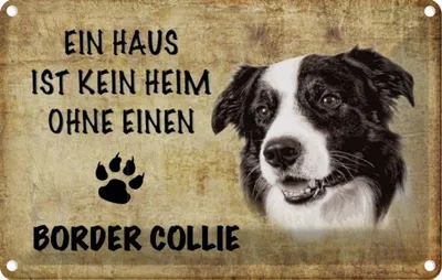 Produktbild von vianmo Blechschild 12x18 cm Border Collie Hund Tier Haustier
