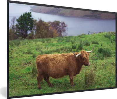 Produktbild von MuchoWow® MuchoWow® Gerahmtes Poster Schottische Hochlandrind - Gras - Wasser - Tiere 30x20 cm - Poster mit zchwarzem Bilderrahmen - Kunstdruck - Bild-Poster