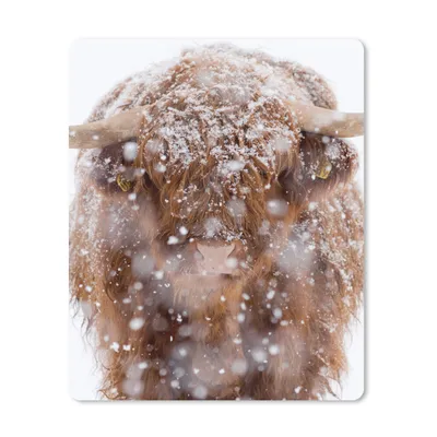 Produktbild von MuchoWow® Mauspad Mousepad Schottischer Highlander - Hörner - Schnee 30x40 cm - Mousepads - Maus Mat - Pad - Mausunterlage - Mausmatten