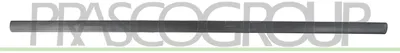 Image de Moulure décorative PRASCO pour la porte avant droite de la VW POLO (9N) VG0211403