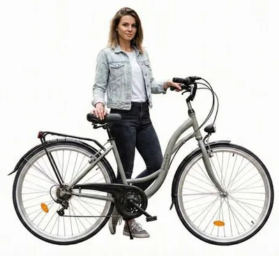 Zdjęcie produktu dla Rower Dallas City 28" 7spd - siwy z czarnym