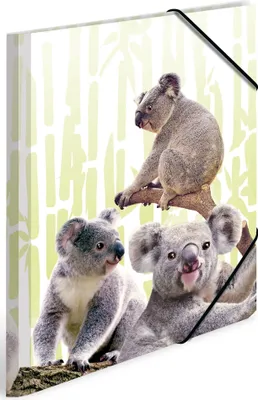 Produktbild von HERMA Sammelmappen DIN A4 Koalas, 3 St.