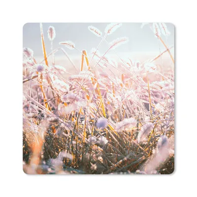 Produktbild von MuchoWow® Mauspad Mousepad Gras - Sonne - Winter - Schnee 20x20 cm - Mousepads - Maus Mat - Pad - Mausunterlage - Desk Mat - Bureauartikeln