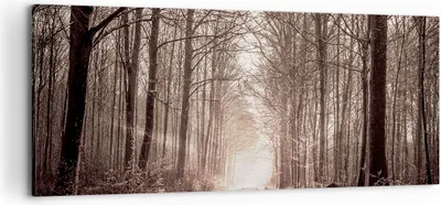 Produktbild von Bild auf Leinwand - Leinwandbild - Wald Straße Baum - 100x40cm - Wand Bild - Wanddeko - Wandbilder - Leinwanddruck - Bilder - Kunstdruck - Wanddekoration - Leinwand bilder - Wandkunst - AB100x40-3620