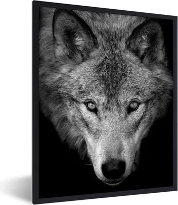 Produktbild von MuchoWow® MuchoWow® Gerahmtes Poster Nahaufnahme Wolf - schwarz und weiß 30x40 cm - Poster mit zchwarzem Bilderrahmen - Wanddeko - Kunstdrucke