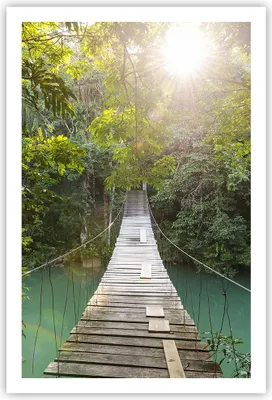 Produktbild von Poster - Poster ohne Rahmen - Brücke Seil Dschungel - 61x91,5 cm - Wand Bild - Wanddeko - Wandbilder - Kunstposter - Wandposter - Bilder - Kunstdruck - Wanddekoration - Wandbild - P2XPA61x91-4397