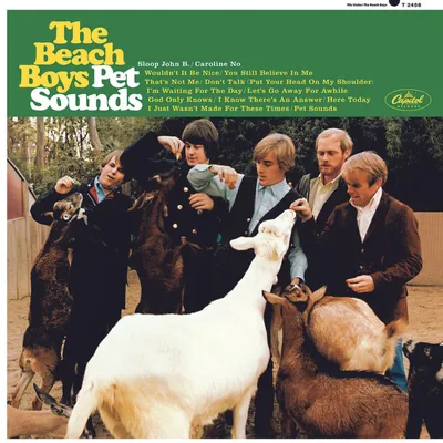 Immagine prodotto di Pet Sounds