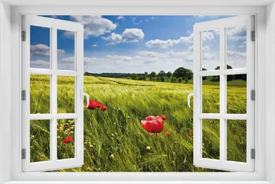 Produktbild von Wallario selbstklebendes Poster mit Fenster-Illusion - Mohnblumenwiese auf grüner Wiese unter blauem Himmel, Größe: 100 x 150 cm