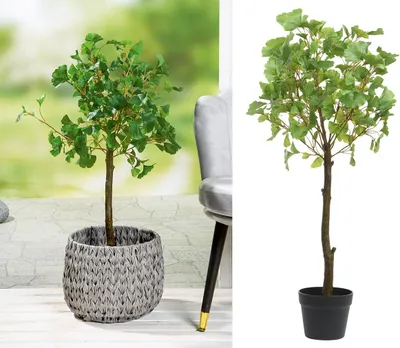 Produktbild von Gilde Kunstpflanze Gingko im Topf 99348