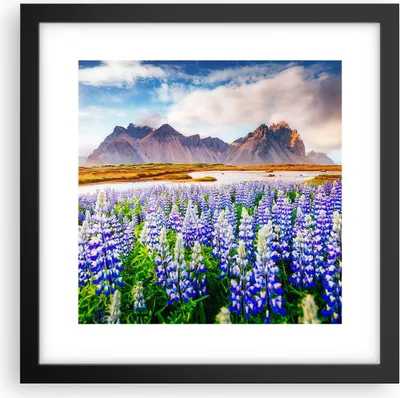 Produktbild von Gerahmtes Poster - Schwarzer Rahmen - Berge Wiese Blumen - 30x30 cm - Wand Bild - Wanddeko - Wandbilder - Kunstposter - Wandposter - Bilderrahmen - Bilder - Kunstdruck - Wandbild - P2BAC30x30-4114