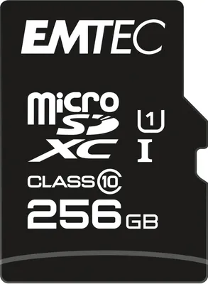Immagine prodotto di Emtec mSD 256GB UHS-I U1 EliteGold + Adapter