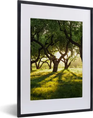 Produktbild von MuchoWow® Gerahmtes Poster Bäume - Natur - Sonne 30x40 cm - Poster mit Schwarzem Bilderrahmen Wandposter Rahmen Foto Bilder - Wandposter Schlafzimmer