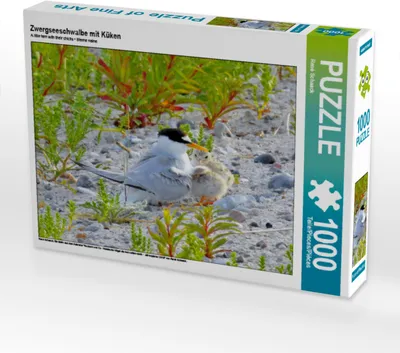 Produktbild von CALVENDO Puzzle Zwergseeschwalbe mit Küken | 1000 Teile Lege-Größe 64x48cm Foto-Puzzle für glückliche Stunden