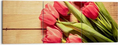 Produktbild von Bild auf Leinwand - Leinwandbild - Tulpen Blumenstrauß Sommer Garten - 150x50cm - Wand Bild - Wanddeko - Leinwanddruck - Bilder - Kunstdruck - Leinwand bilder - Wandkunst - CA150x50-2867