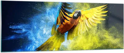 Produktbild von Bilder auf glas - Papagei Vogel Feder - 140x50cm - Glasbilder - Wandbilder - Kunstdruck - zum Aufhängen bereit - Wanddekoration aus Glas - Glas Bilder - Wandbild auf Glas - Einteilig - GAB140x50-3666