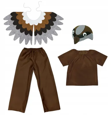 Produktbild von Kinder Lerchenkostüm mit Hose, Bluse und Mütze