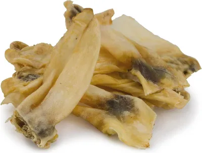 Image de Snack Sokol Falco oreille de lapin 250 g