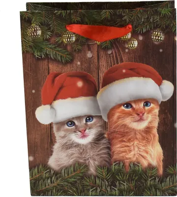 Produktbild von 12 Stück Geschenktasche Weihnachtstüte Katzen mit Weihnahctsmütze B 18 cm x H 23 cm x T 10 cm