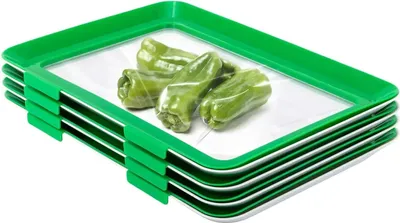 Produktbild von Lebensmittelaufbewahrung - Vakuumversiegelte Aufbewahrungsschale - 4er-Set - 30 x 22 cm - Stapelbar - Für Kühlschrank - Grün