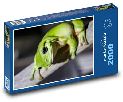 Produktbild von martinpuzzle - Puzzle 2000 Teile - Amphibienfrosch