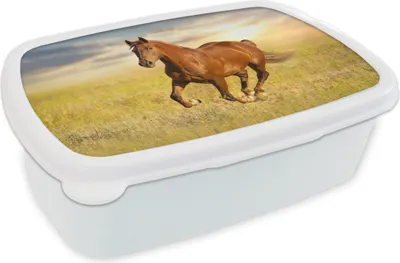 Produktbild von KitchenYeah® Lunchbox Brotzeit Brotdose 17x11 cm Pferd - Sonne - Gras - Tier Kinder Brotzeitdose - Lunch Box - Kinder - Sandwich-Box - Schulbox - Lunch Boxen
