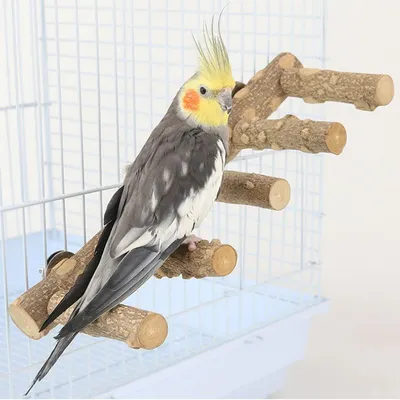 Produktbild von Vogelleiter aus Naturholz für Käfig, Sitzstange für Papageien & Sittiche, 31 cm