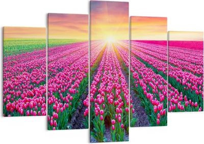 Produktbild von Bild auf Leinwand - Leinwandbild - Wiese Tulpen Sonnenuntergang Frühling - 150x100cm - Wand Bild - Wanddeko - Leinwanddruck - Bilder - Kunstdruck - Leinwand bilder - Wandkunst - EA150x100-2841