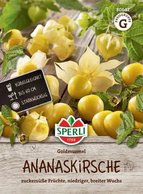 Produktbild von SPERLI Ananaskirschensamen Goldmurmel Physalis pruinosa 10 Pflanzen