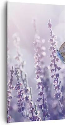 Produktbild von Bild auf Leinwand - Leinwandbild - Schmetterling Wiese Blume - 65x120cm - Wand Bild - Wanddeko - Leinwanddruck - Bilder - Kunstdruck - Wanddekoration - Leinwand bilder - Wandkunst - PA65x120-4014