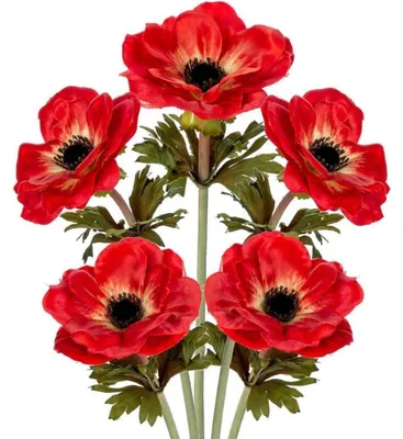 Produktbild von 5er Set Künstliche Anemonen Kunstblumen Wie Echt Rote Frühlingsblumen 53 cm Dekoblumen für Gesteck Büro Dekoration