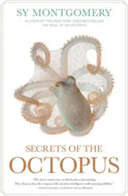 Image de Secrets of the Octopus