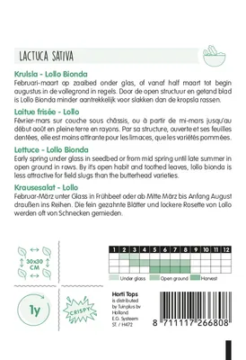 Produktbild von Krausesalat Lollo Bionda | Salatsamen von Hortitops