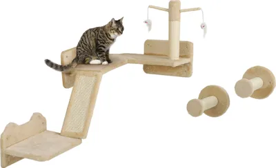 A cat is sitting on a beige cat climbing wall set mounted on a white background.